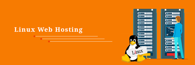 Linux-Hosting-Lion-Vision