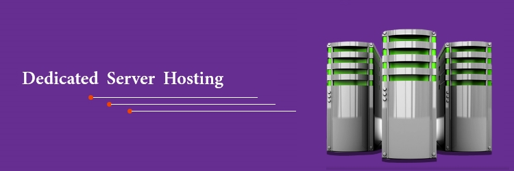 dedicated server hosting